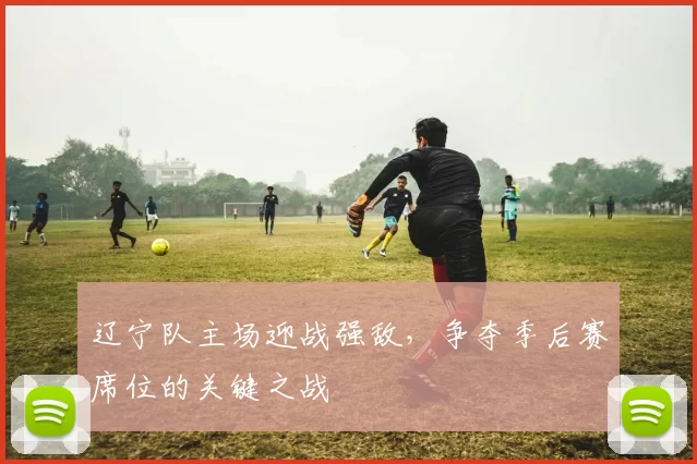 辽宁队主场迎战强敌,争夺季后赛席位的关键之战