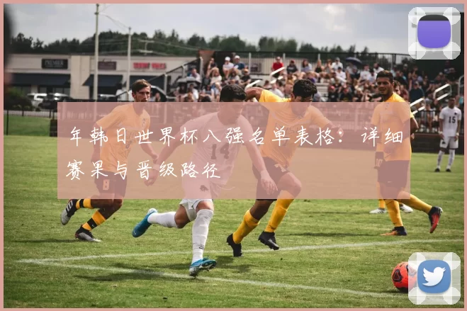 年韩日世界杯八强名单表格:详细赛果与晋级路径