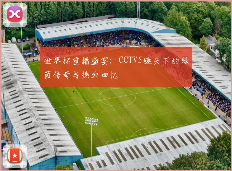 世界杯重播盛宴:CCTV5镜头下的绿茵传奇与热血回忆