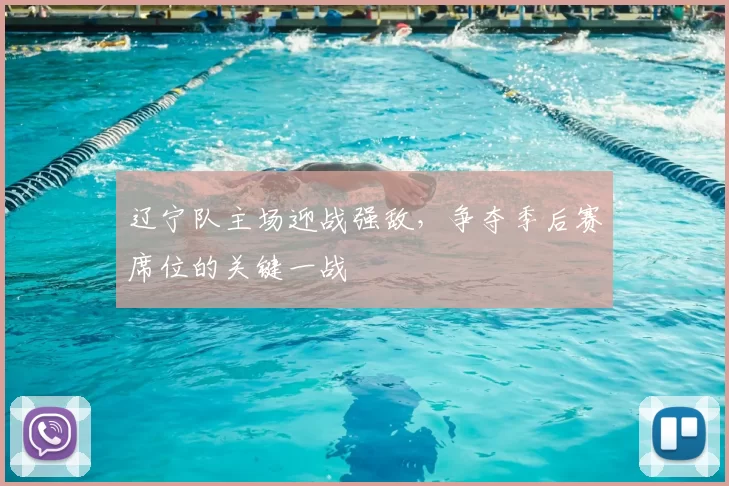 辽宁队主场迎战强敌,争夺季后赛席位的关键一战