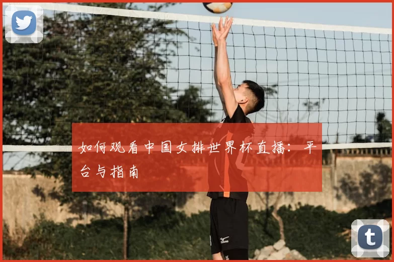 如何观看中国女排世界杯直播：平台与指南