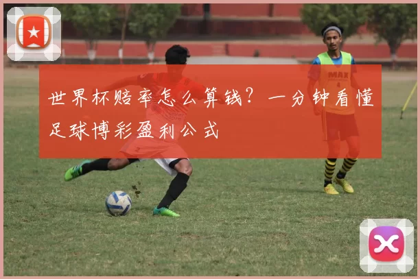 世界杯赔率怎么算钱？一分钟看懂足球博彩盈利公式