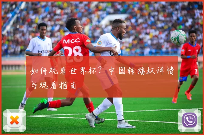 如何观看世界杯?中国转播权详情与观看指南