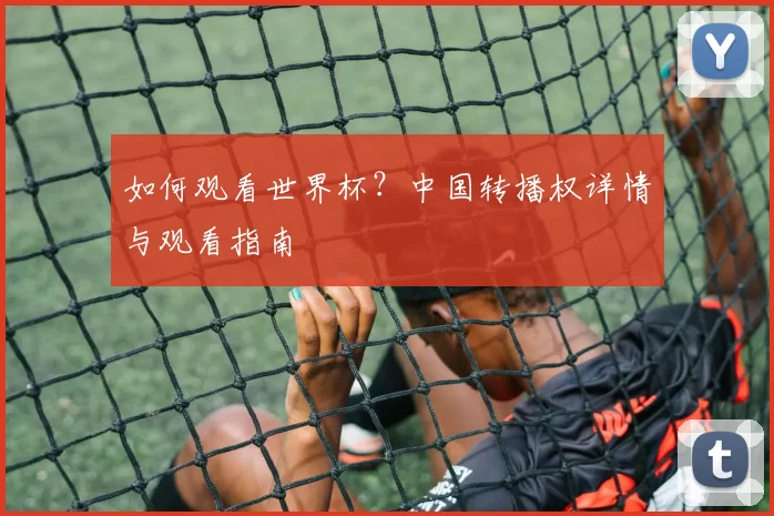 如何观看世界杯？中国转播权详情与观看指南