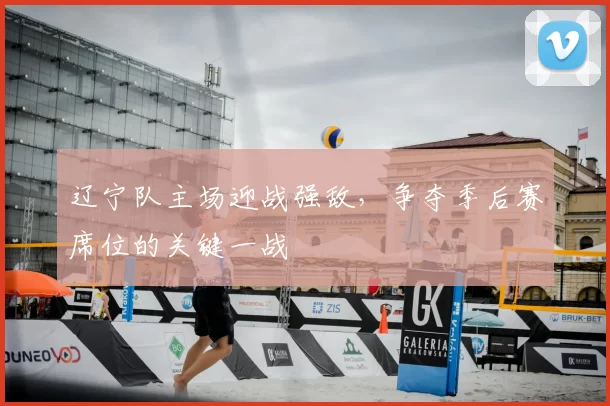 辽宁队主场迎战强敌,争夺季后赛席位的关键一战