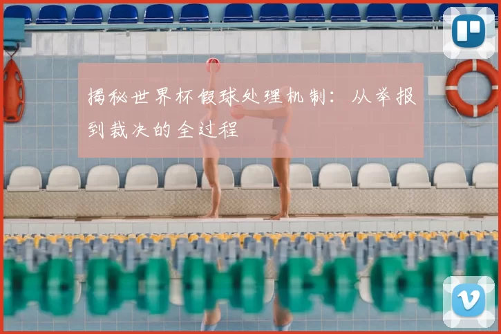 揭秘世界杯假球处理机制：从举报到裁决的全过程