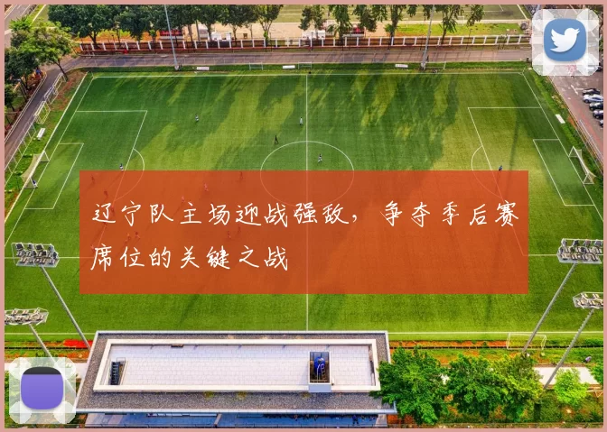 辽宁队主场迎战强敌，争夺季后赛席位的关键之战