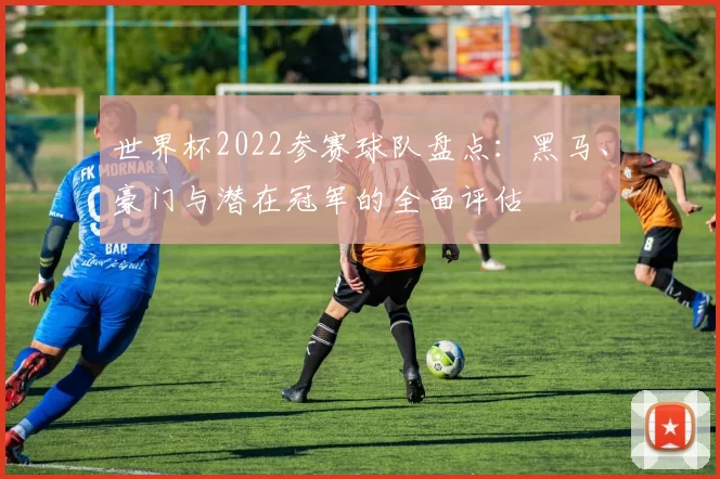 世界杯2022参赛球队盘点:黑马、豪门与潜在冠军的全面评估