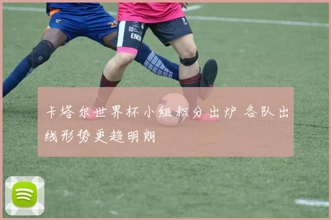 卡塔尔世界杯小组积分出炉 各队出线形势更趋明朗